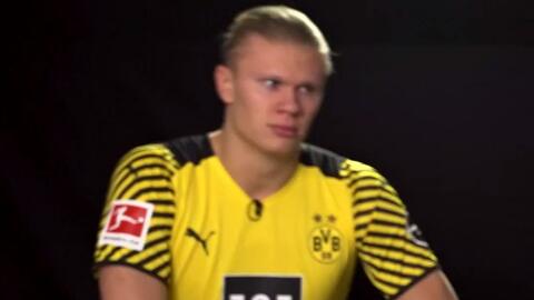 法马利康主席谈争议点球判罚：我们在本菲卡遭遇飓风灾害袭击（法马利康主席批评争议点球：客场对本菲卡宛如遭飓风袭击）